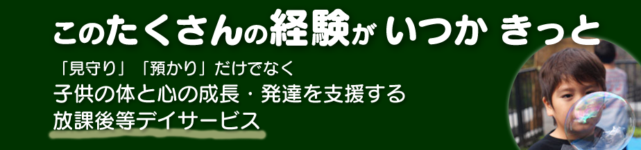 このたくさんの経験がいつかきっと　〜　「見守り」「預かり」だけでなく 子供の体と心の成長・発達を支援する放課後等デイサービス